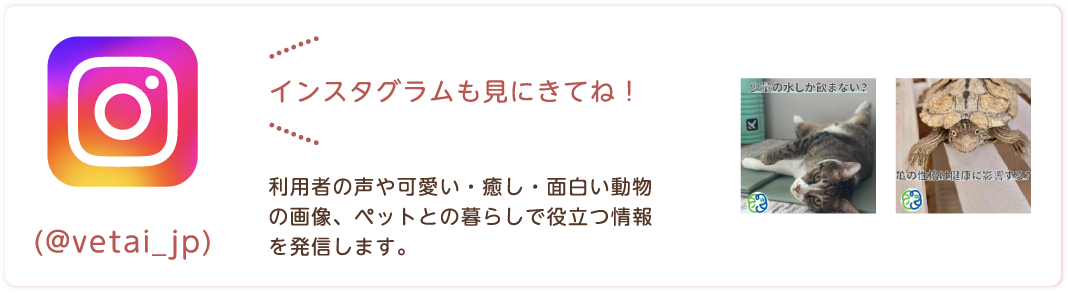 Vet.AI インスタグラム
