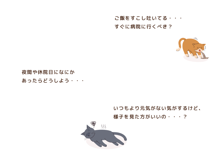 ご飯をすこし吐いてる・・・すぐに病院に行くべき?夜間や休院日になにかあったらどうしよう・・・いつもより元気がない気がするけど、様子を見た方がいいの・・・?