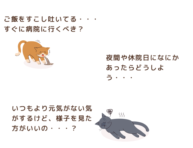 ご飯をすこし吐いてる・・・すぐに病院に行くべき？夜間や休院日になにかあったらどうしよう・・・いつもより元気がない気がするけど、様子を見た方がいいの・・・？